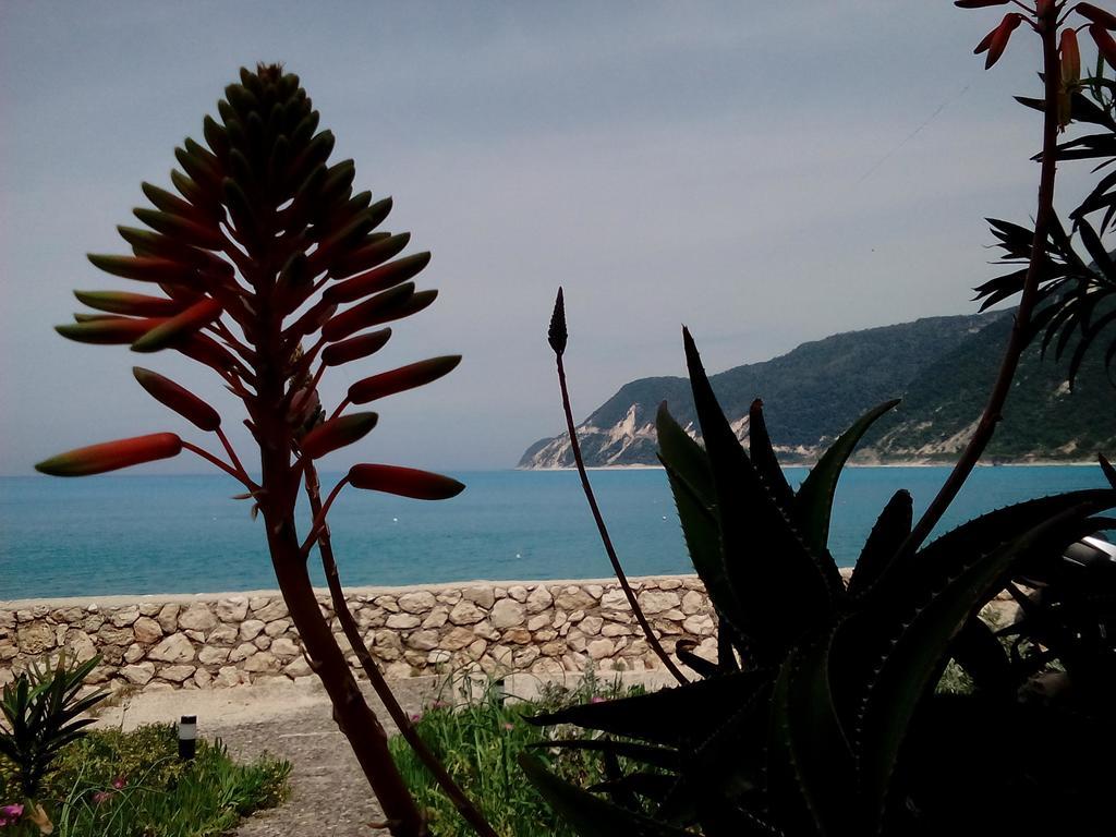 Fetsis Agios Nikitas